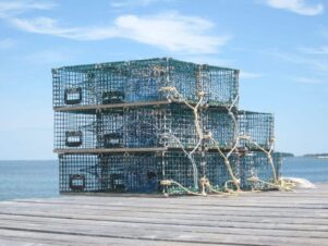 lobster traps on dock